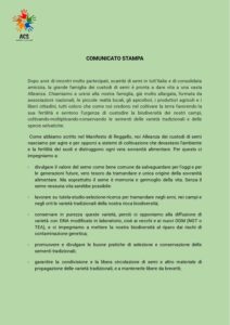 Comunicato Stampa